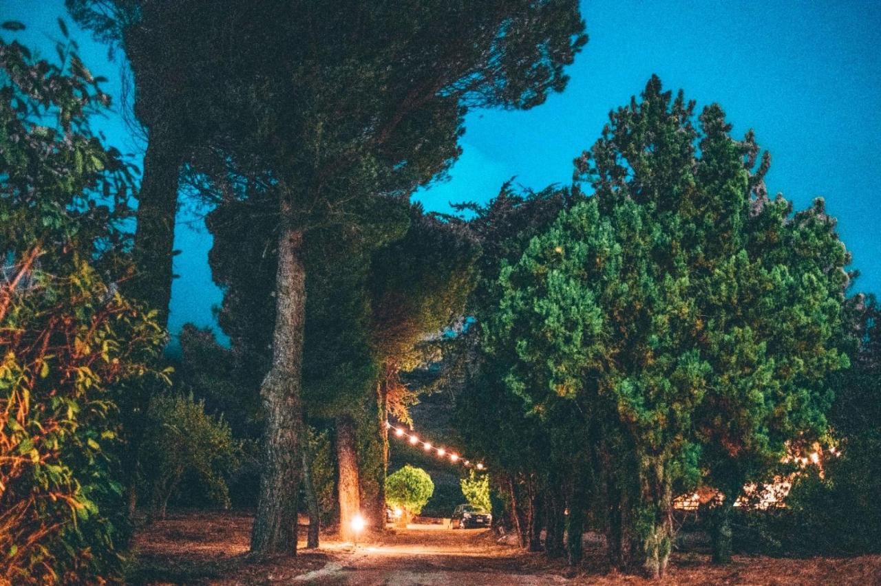 Villa Ada B&B San Gregorio Magno Esterno foto
